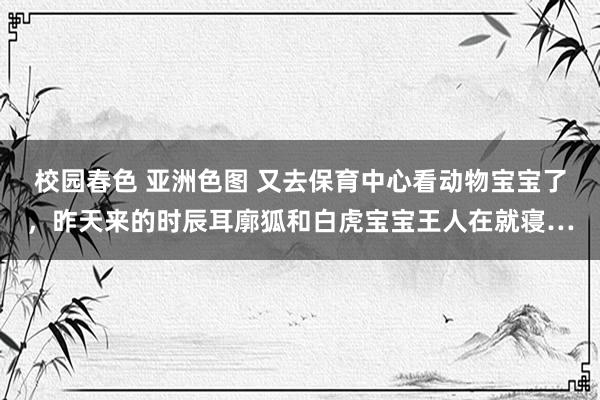 校园春色 亚洲色图 又去保育中心看动物宝宝了，昨天来的时辰耳廓狐和白虎宝宝王人在就寝…