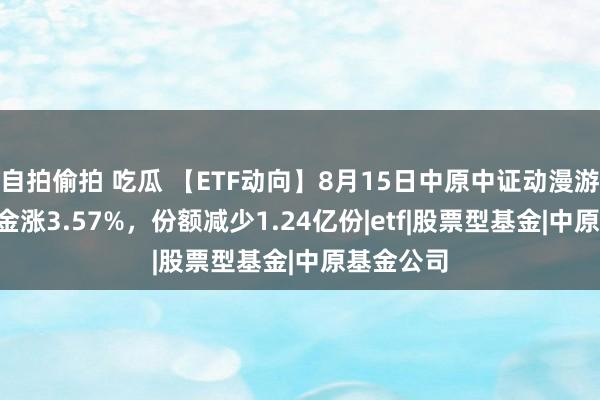 自拍偷拍 吃瓜 【ETF动向】8月15日中原中证动漫游戏ETF基金涨3.57%,份额减少1.24亿份|etf|股票型基金|中原基金公司