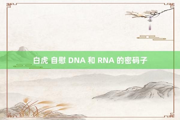 白虎 自慰 DNA 和 RNA 的密码子