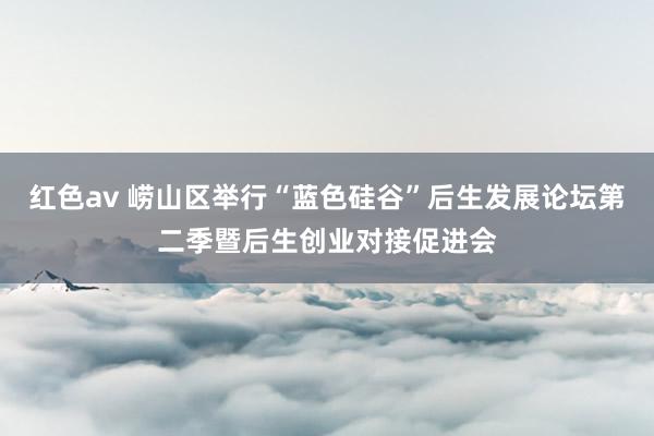 红色av 崂山区举行“蓝色硅谷”后生发展论坛第二季暨后生创业对接促进会
