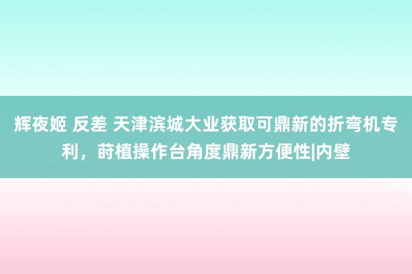 辉夜姬 反差 天津滨城大业获取可鼎新的折弯机专利，莳植操作台角度鼎新方便性|内壁