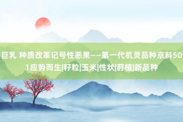 巨乳 种质改革记号性恶果——第一代机灵品种京科501应势而生|籽粒|玉米|性状|莳植|新品种