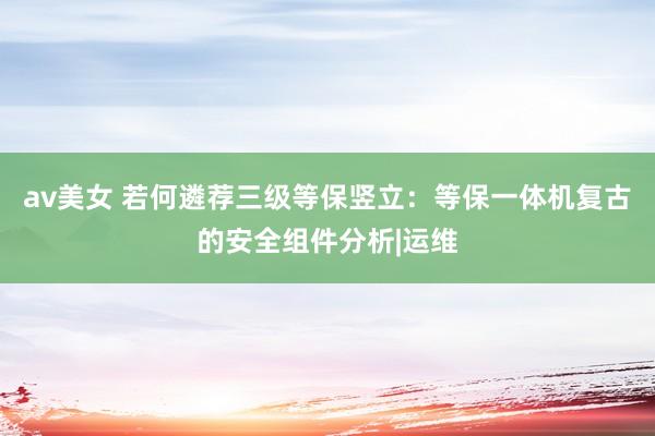 av美女 若何遴荐三级等保竖立：等保一体机复古的安全组件分析|运维