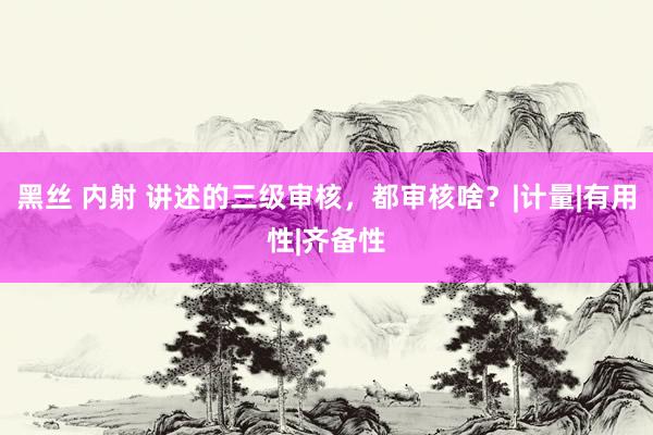 黑丝 内射 讲述的三级审核，都审核啥？|计量|有用性|齐备性