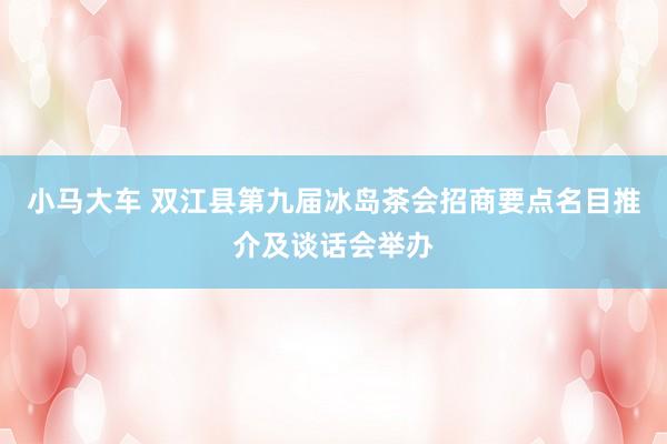 小马大车 双江县第九届冰岛茶会招商要点名目推介及谈话会举办